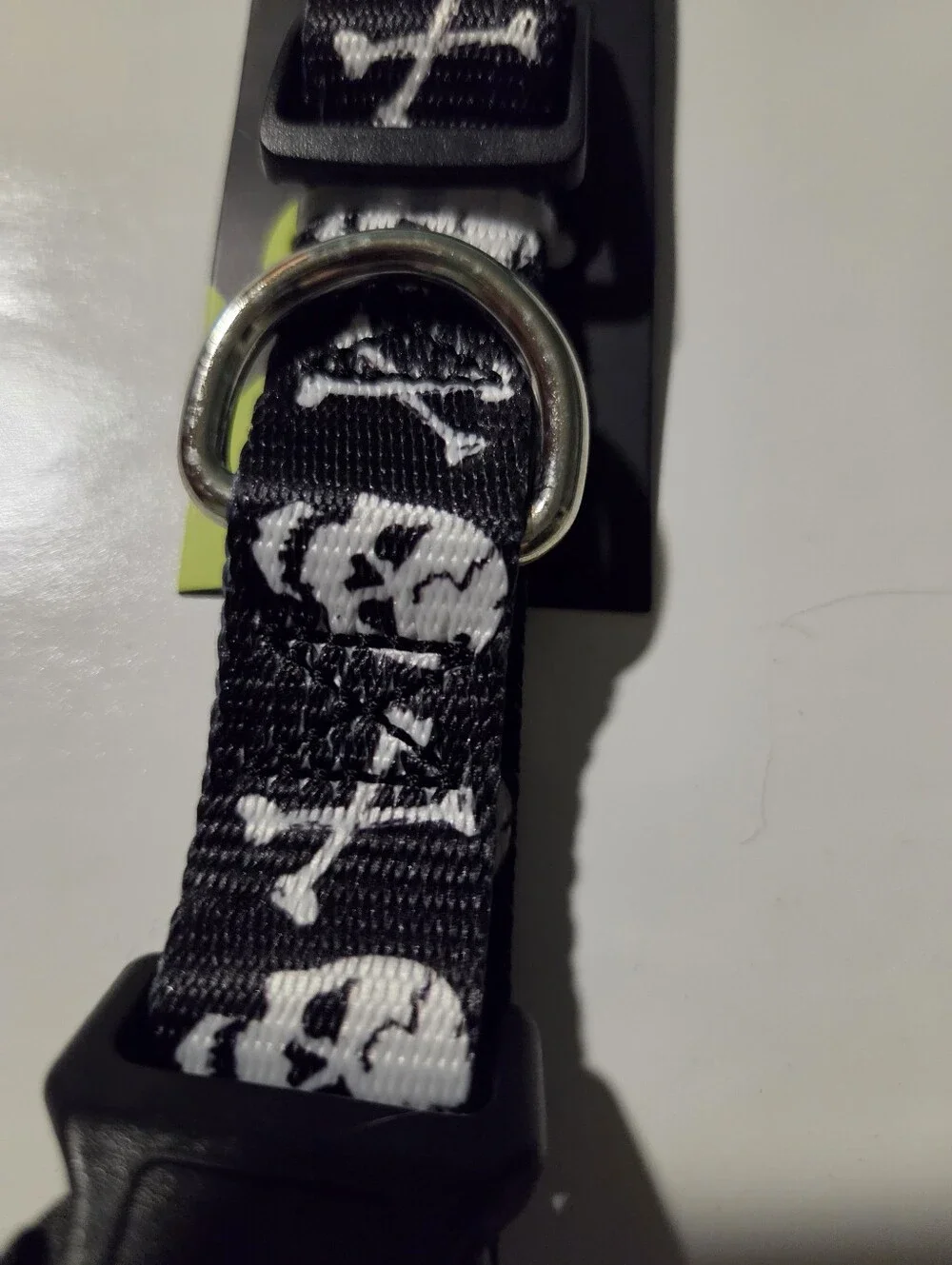 large skull dog collar new